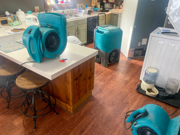 Best Basement water damage restoration  in Unionville, NC
